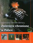 Zwierzęta chronione w Polsce w sklepie internetowym Booknet.net.pl