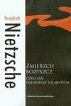 Zmierzch bożyszcz czyli jak filozofuje się młotem w sklepie internetowym Booknet.net.pl