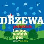 Drzewa polskich lasów sadów i pól w sklepie internetowym Booknet.net.pl