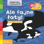 Ale fajne łaty! w sklepie internetowym Booknet.net.pl