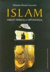 Islam Między herezją a ortodoksją w sklepie internetowym Booknet.net.pl