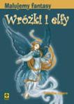 Malujemy fantasy Wróżki i elfy w sklepie internetowym Booknet.net.pl