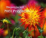 Nieprzyjaciel? Nie! Przyjaciel... w sklepie internetowym Booknet.net.pl