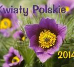 Kalendarz 2014 Kwiaty polskie wiszący w sklepie internetowym Booknet.net.pl