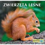 Zwierzęta leśne. Poznajemy zwierzęta w sklepie internetowym Booknet.net.pl