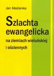 Wieluń i okolice. Szlachta ewangelicka na ziemiach wieluńskiej i ościennych. w sklepie internetowym Booknet.net.pl