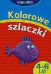 Mała sowa. Kolorowe szlaczki 4-6 lat w sklepie internetowym Booknet.net.pl