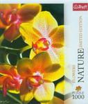 Puzzle 1000 Nature Orchidea w sklepie internetowym Booknet.net.pl