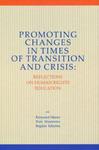 Promoting Changes in Times of Transition and Crisis w sklepie internetowym Booknet.net.pl