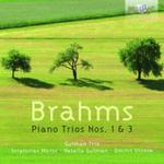 BRAHMS: PIANO TRIOS NOS. 1 & 3 w sklepie internetowym Booknet.net.pl