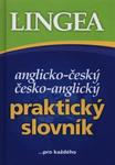 Praktyczny słownik angielsko-czeski i czesko-angielski w sklepie internetowym Booknet.net.pl