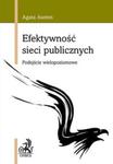 Efektywność sieci publicznych. w sklepie internetowym Booknet.net.pl
