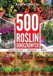 500 roślin doniczkowych w sklepie internetowym Booknet.net.pl