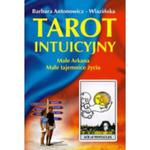 Tarot intuicyjny. Małe arkana. Małe tajemnice życia w sklepie internetowym Booknet.net.pl