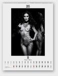 Kalendarz 2015 Erotic Art artystyczny w sklepie internetowym Booknet.net.pl