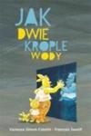 Jak dwie krople wody w sklepie internetowym Booknet.net.pl