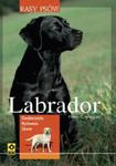 Labrador Rasy psów w sklepie internetowym Booknet.net.pl