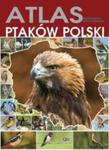 ATLAS PTAKÓW POLSKI OP. FENIX 9788377056592 w sklepie internetowym Booknet.net.pl