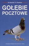 Gołębie pocztowe w sklepie internetowym Booknet.net.pl