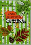 Leśna kolorowanka. Drzewa w sklepie internetowym Booknet.net.pl