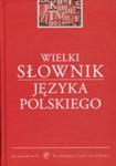 Wielki słownik języka polskiego w sklepie internetowym Booknet.net.pl