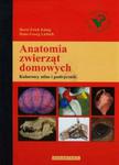 Anatomia zwierząt domowych w sklepie internetowym Booknet.net.pl