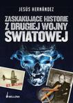 Zaskakujące historie z drugiej wojny światowej w sklepie internetowym Booknet.net.pl