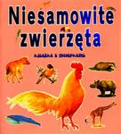 Niesamowite zwierzęta Książka z nalepkami w sklepie internetowym Booknet.net.pl