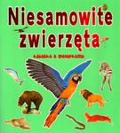 Niesamowite zwierzęta Książka z nalepkami w sklepie internetowym Booknet.net.pl