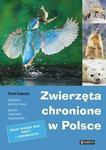 Zwierzęta chronione w Polsce w sklepie internetowym Booknet.net.pl