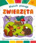 Maluch poznaje Zwierzęta w sklepie internetowym Booknet.net.pl