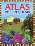 Atlas roślin Polski w sklepie internetowym Booknet.net.pl