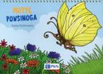 Bajki na cztery pory roku Motyl powsinoga w sklepie internetowym Booknet.net.pl
