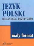 Język polski romantyzm pozytywizm w sklepie internetowym Booknet.net.pl