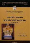 Miasto i powiat Gorzów Wielkopolski do 1815 roku Tom 10 w sklepie internetowym Booknet.net.pl