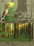 Skarby przyrody lasów rybnickich w sklepie internetowym Booknet.net.pl