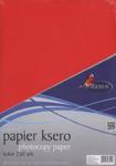 Papier ksero A4 250 arkuszy kolor mix w sklepie internetowym Booknet.net.pl