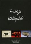 PRADZIEJE WIELKOPOLSKI Od epoki kamienia do średniowiecza w sklepie internetowym Booknet.net.pl