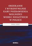 Orzekanie i wykonywanie kary pozbawienia wolności wobec nieletnich w Polsce w sklepie internetowym Booknet.net.pl