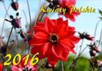 Kalendarz 2016 Kwiaty Polskie w sklepie internetowym Booknet.net.pl