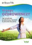 Kryzys ozdrowieńczy. Jak przetrwać przełomowy moment w procesie leczenia w sklepie internetowym Booknet.net.pl