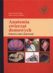 Anatomia zwierząt domowych w sklepie internetowym Booknet.net.pl