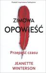 Zimowa opowieść. Przepaść czasu w sklepie internetowym Booknet.net.pl