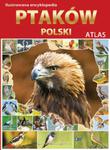Ilustrowana encyklopedia ptaków Polski. Atlas w sklepie internetowym Booknet.net.pl