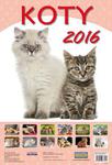 Kalendarz ścienny 2016 Koty w sklepie internetowym Booknet.net.pl