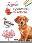 Sztuka rysowania w kolorze w sklepie internetowym Booknet.net.pl