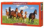 Puzzle Paso Fino Herd 4000 w sklepie internetowym Booknet.net.pl