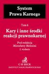 Kary i inne środki reakcji prawnokarnej System Prawa Karnego Tom 6 w sklepie internetowym Booknet.net.pl