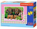 Puzzle Dachshund Puppies 120 w sklepie internetowym Booknet.net.pl