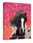 Magiczny konik. Czarodziejskie przygody w sklepie internetowym Booknet.net.pl